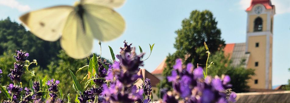 Psihiatrična bolnišnica Begunje Psihiatrična bolnišnica Begunje